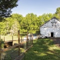 The Power of Outdoor Meditation in Montgomery County, Maryland