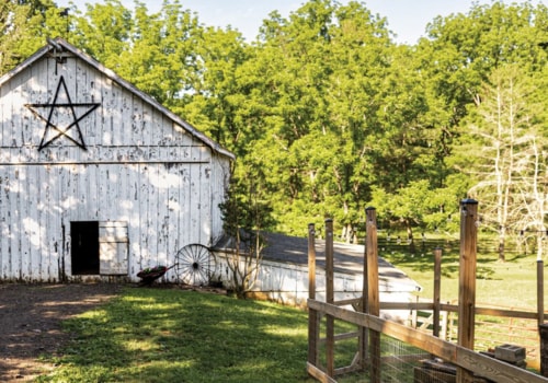 The Power of Outdoor Meditation in Montgomery County, Maryland